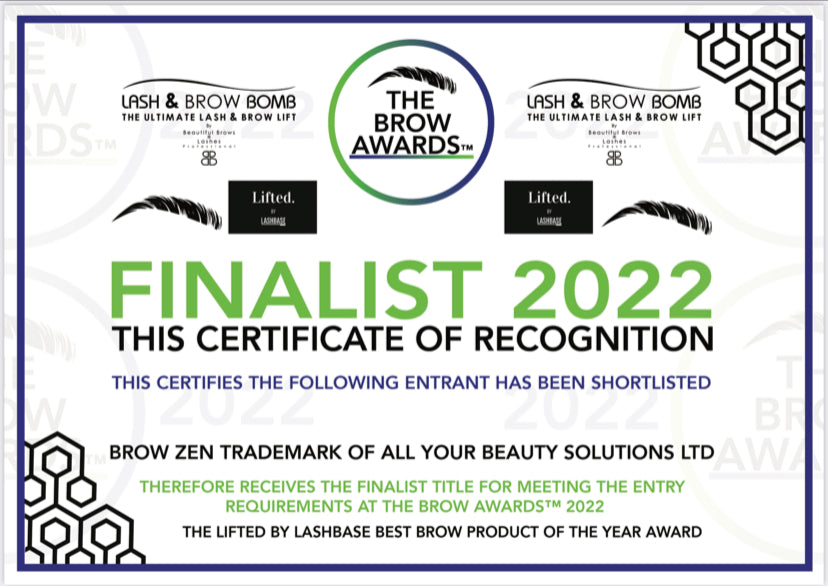 Pro Deluxe Luxury Eyebrow Stencil Kit